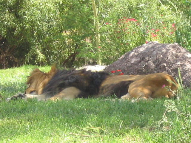 618x457 pixels (243K)